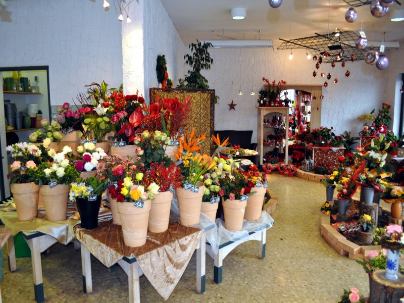 fotogalerie025